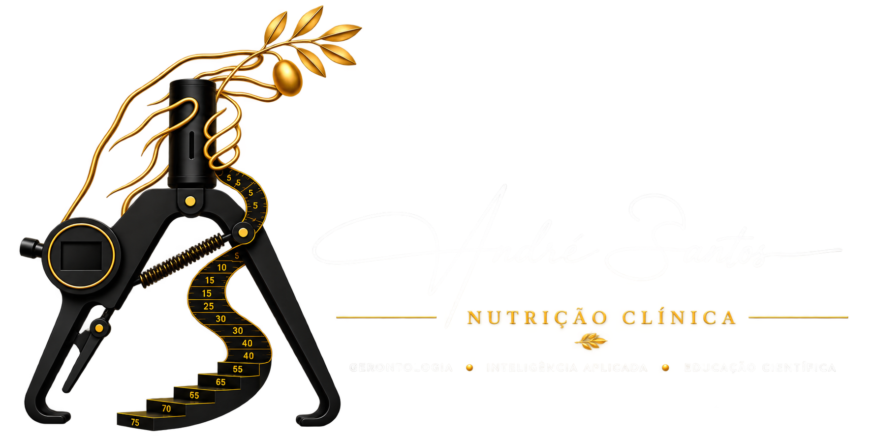 André Santos Logo