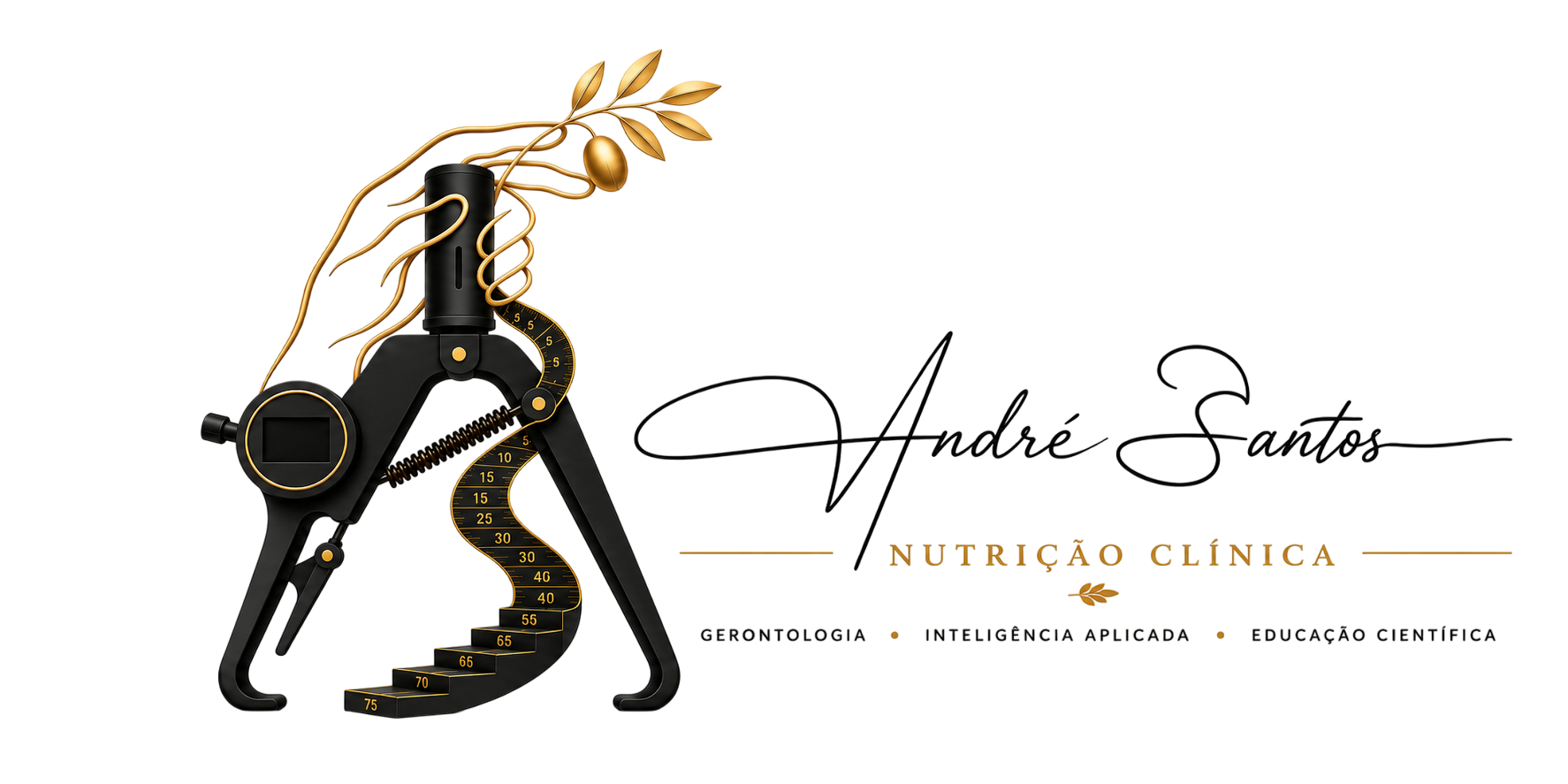 André Santos Logo