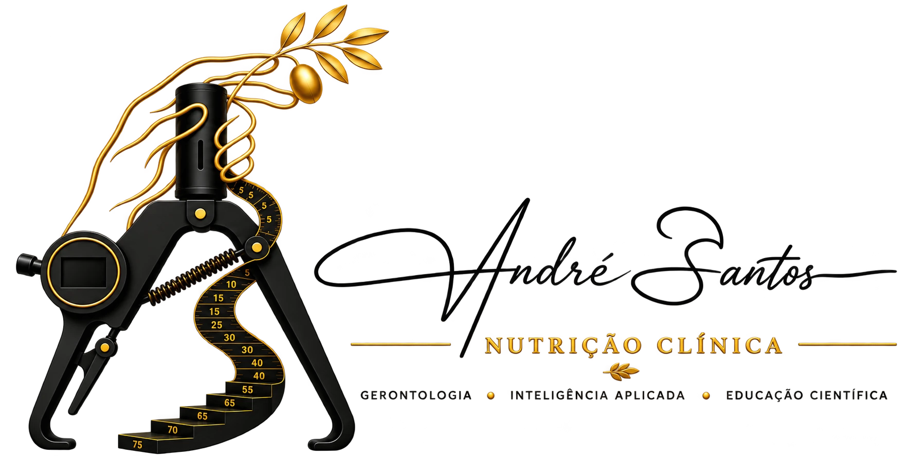 André Santos Logo